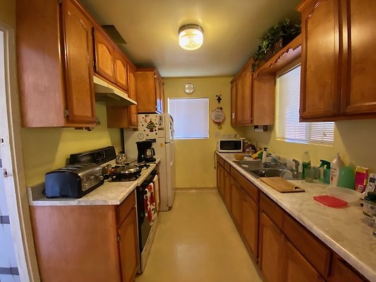 Scouting Darios House  - 15 of 42