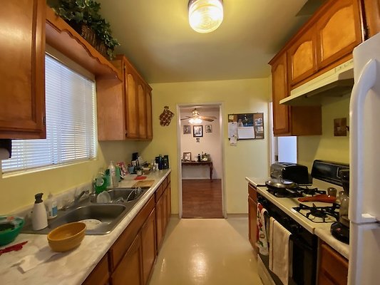 Scouting Darios House  - 16 of 42