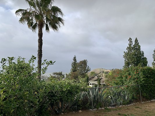 Photo Apr 11, 5 45 40 PM