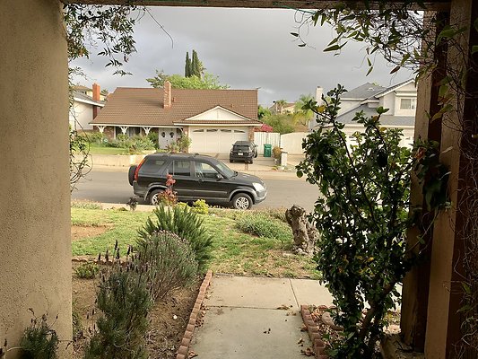 Photo Apr 11, 5 49 22 PM