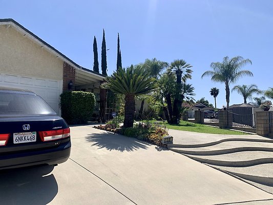 Photo Apr 12, 2 41 06 PM Photo Apr 12, 2 41 06 PM