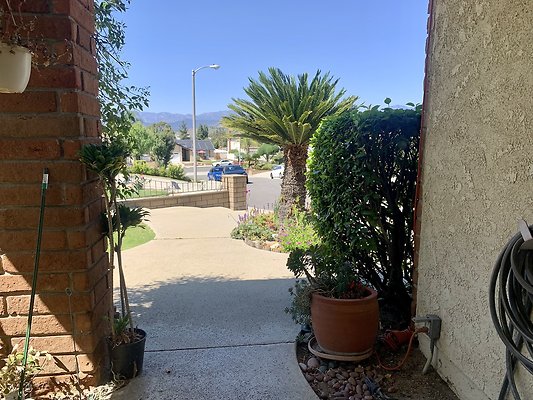 Photo Apr 12, 2 41 59 PM Photo Apr 12, 2 41 59 PM