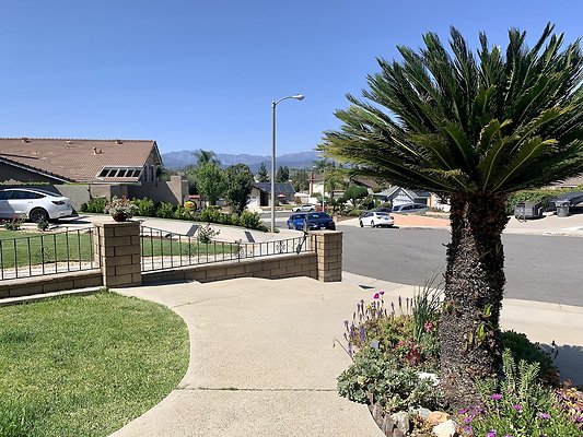 Photo Apr 12, 2 42 05 PM Photo Apr 12, 2 42 05 PM