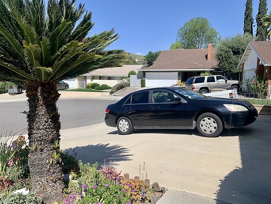 Photo Apr 12, 2 42 08 PM Photo Apr 12, 2 42 08 PM