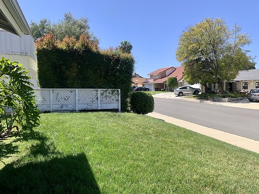 Photo Apr 12, 1 38 42 PM Photo Apr 12, 1 38 42 PM