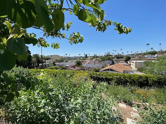 3219 Chadwick Dr - 45 of 62 3219 Chadwick Dr - 45 of 62