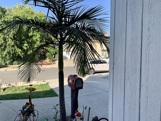 Photo Apr 13, 5 31 47 PM Photo Apr 13, 5 31 47 PM