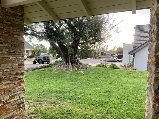 Photo Apr 11, 6 31 23 PM Photo Apr 11, 6 31 23 PM