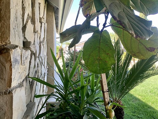 Photo Apr 12, 3 22 10 PM Photo Apr 12, 3 22 10 PM