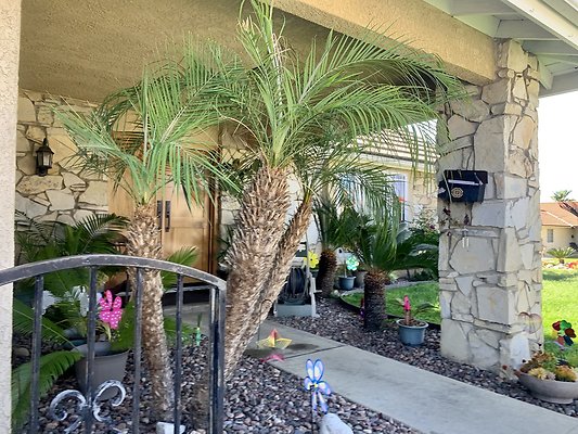 Photo Apr 12, 3 21 42 PM Photo Apr 12, 3 21 42 PM