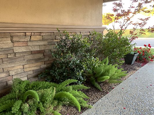 Photo Apr 12, 6 59 42 PM Photo Apr 12, 6 59 42 PM