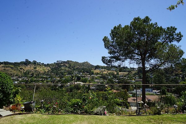 A1D9A9A4-CC40-4228-B9BF-2F49692F4F1A