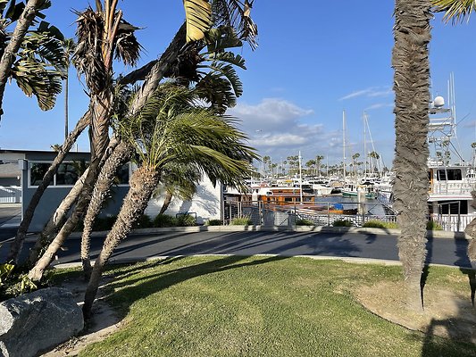 Photo Apr 22, 5 51 49 PM Photo Apr 22, 5 51 49 PM