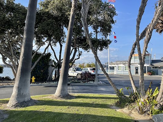 Photo Apr 22, 5 51 47 PM Photo Apr 22, 5 51 47 PM