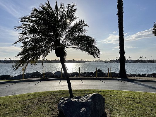 Photo Apr 22, 5 51 44 PM Photo Apr 22, 5 51 44 PM