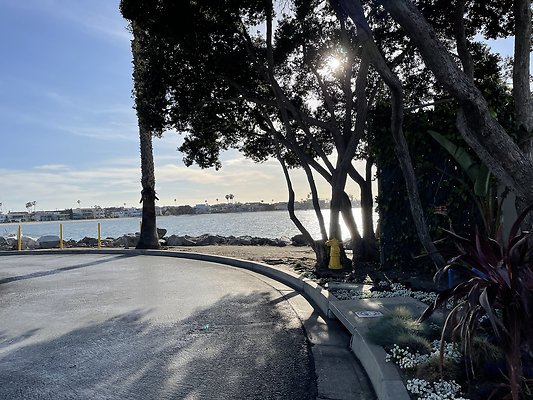 Photo Apr 22, 5 51 20 PM Photo Apr 22, 5 51 20 PM