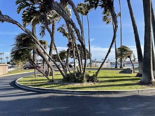 Photo Apr 22, 5 51 17 PM Photo Apr 22, 5 51 17 PM