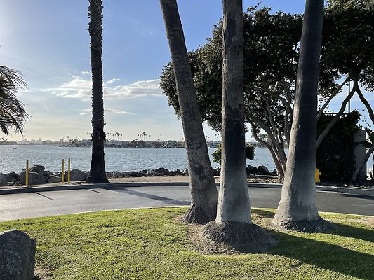 Photo Apr 22, 5 51 46 PM Photo Apr 22, 5 51 46 PM