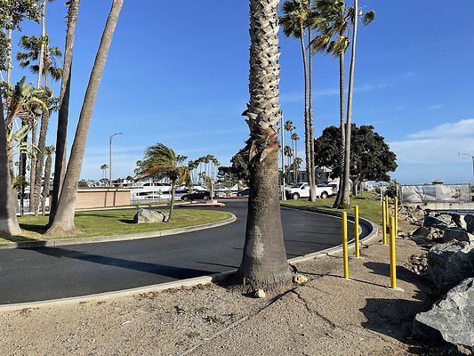 Photo Apr 22, 5 49 46 PM Photo Apr 22, 5 49 46 PM