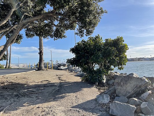 Photo Apr 22, 5 50 31 PM Photo Apr 22, 5 50 31 PM