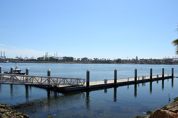 Javier Shoreline Marina