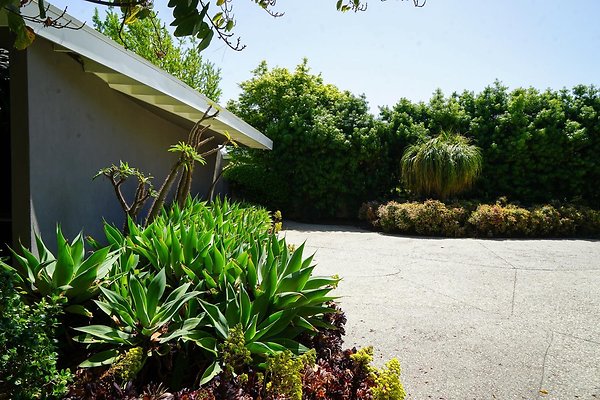 1101CCC9-E66D-42B3-938B-B0EE66BE725A