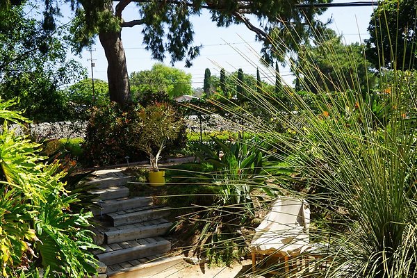 82FFDE01-8DA7-4E5C-9E20-F0E951144541