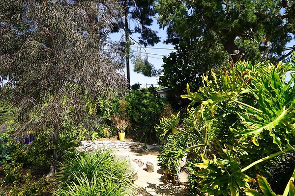 D8163D14-8823-4601-93C0-A2E63239A523