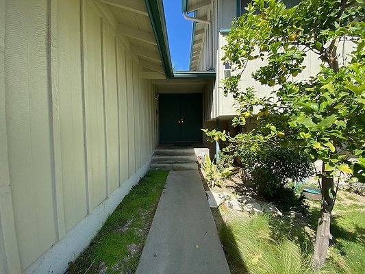 Scouting - 5 of 50 Scouting - 5 of 50