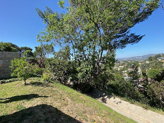 Scouting - 47 of 50 Scouting - 47 of 50