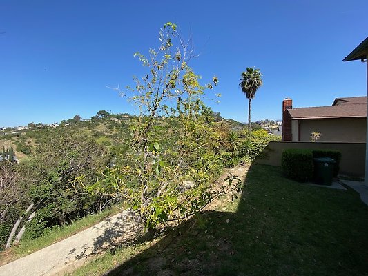 Scouting - 46 of 50 Scouting - 46 of 50