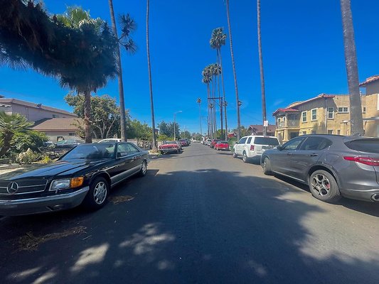 IMG 4017 3 IMG 4017 3