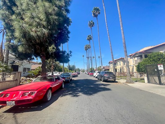 IMG 4016 3 IMG 4016 3