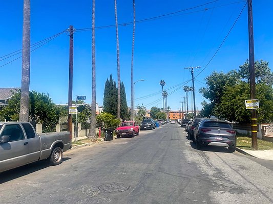 IMG 4037 3 IMG 4037 3