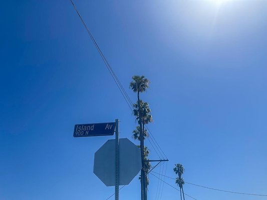 IMG 4030 3 IMG 4030 3