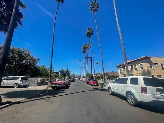 IMG 4018 3 IMG 4018 3