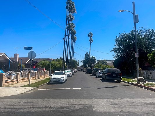 IMG 4033 3 IMG 4033 3