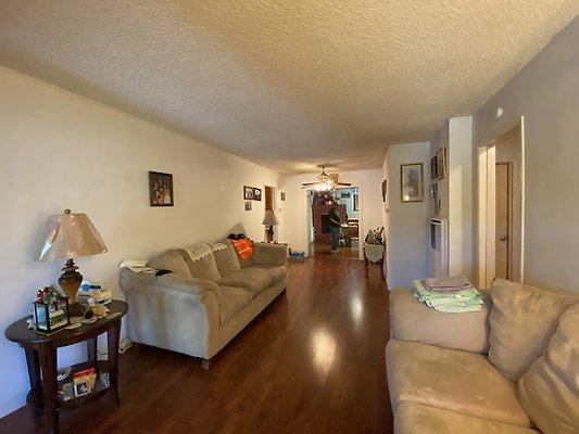 Scouting Darios House  - 11 of 42