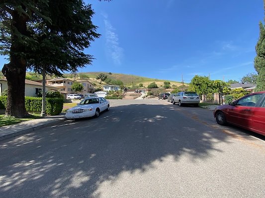 Scouting Darios House  - 38 of 42