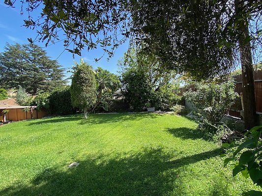 Scouting Darios House  - 31 of 42