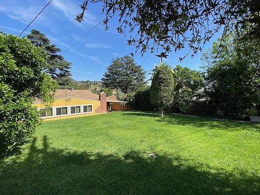 Scouting Darios House  - 30 of 42