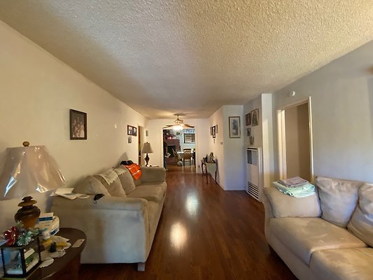 Scouting Darios House  - 9 of 42